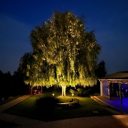 Battonya House Exterior foto